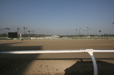 Enlarge photo 47