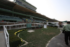 Enlarge photo 48