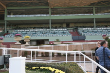 Enlarge photo 51