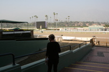 Enlarge photo 74