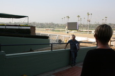 Enlarge photo 76