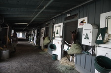 Enlarge photo 104