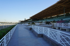 Race Track