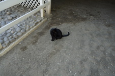 Enlarge photo 27