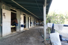 Enlarge photo 33