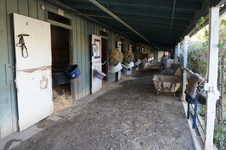 Enlarge photo 34