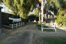 Enlarge photo 35