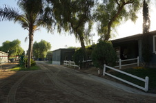 Enlarge photo 37