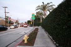 Enlarge photo 68
