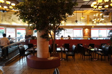 Enlarge photo 14