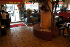 Enlarge photo 15