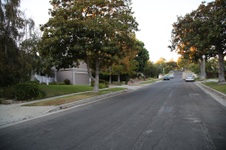 Enlarge photo 54