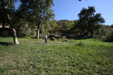 Enlarge photo 3