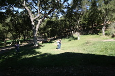 Enlarge photo 6