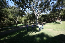Enlarge photo 34
