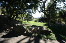 Enlarge photo 35