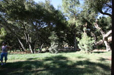Enlarge photo 39