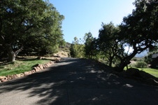 Enlarge photo 44