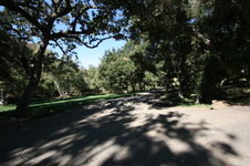 Enlarge photo 45