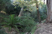 Enlarge photo 23
