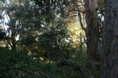 Enlarge photo 26