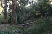 Enlarge photo 28