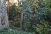 Enlarge photo 30