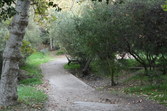 Enlarge photo 44