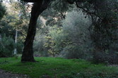 Enlarge photo 48