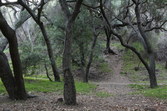 Enlarge photo 49