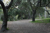 Enlarge photo 50