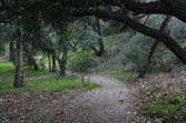 Enlarge photo 51