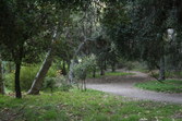 Enlarge photo 53