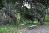 Enlarge photo 56