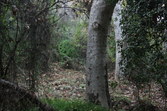Enlarge photo 57