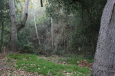 Enlarge photo 59