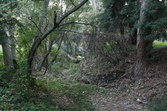 Enlarge photo 64