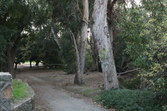 Enlarge photo 65