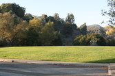 Enlarge photo 70
