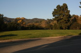 Enlarge photo 71