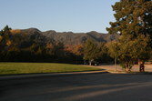 Enlarge photo 72