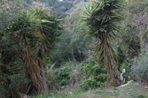 Enlarge photo 74