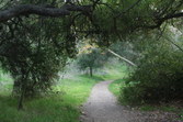 Enlarge photo 87