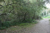 Enlarge photo 88