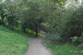 Enlarge photo 94