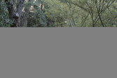 Enlarge photo 98