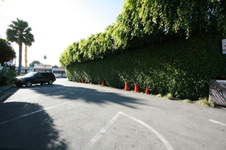 Enlarge photo 39