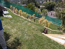 Enlarge photo 31