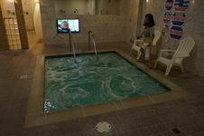 Wilshire Spa - Korea Town