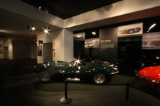 Enlarge photo 174
